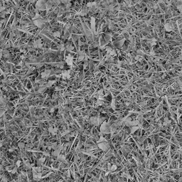 Original nature · grass image
